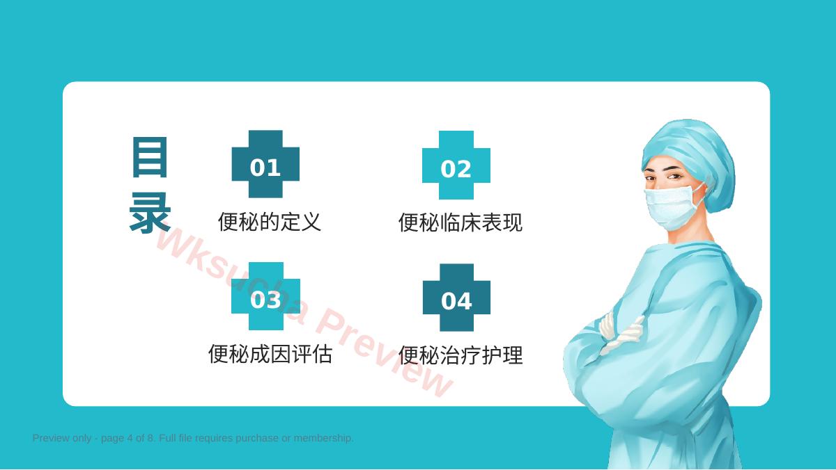 预览第 4 页