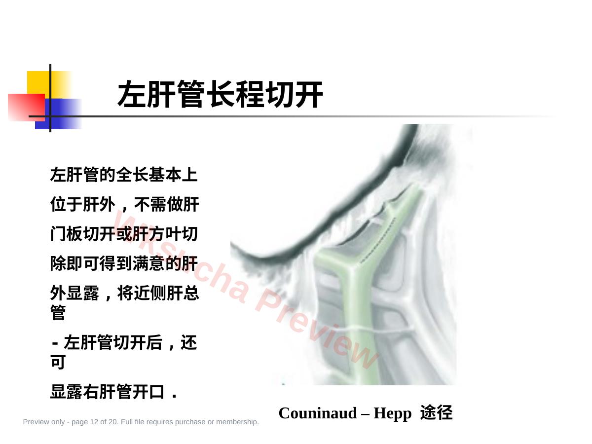 预览第 12 页
