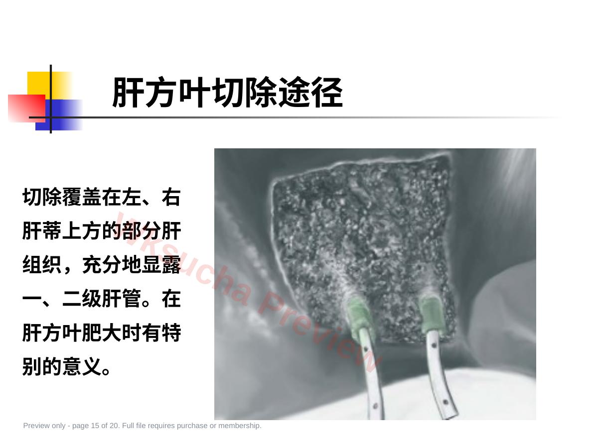 预览第 15 页