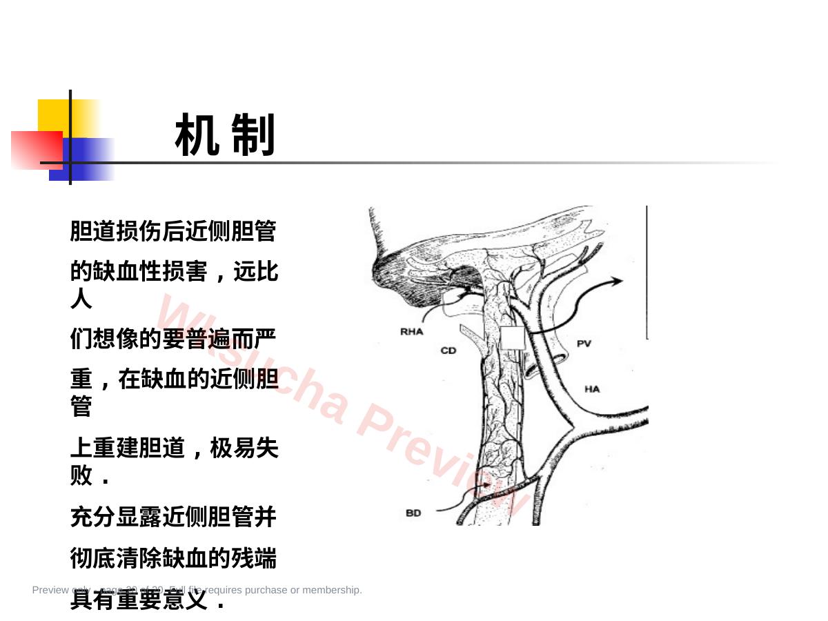 预览第 20 页