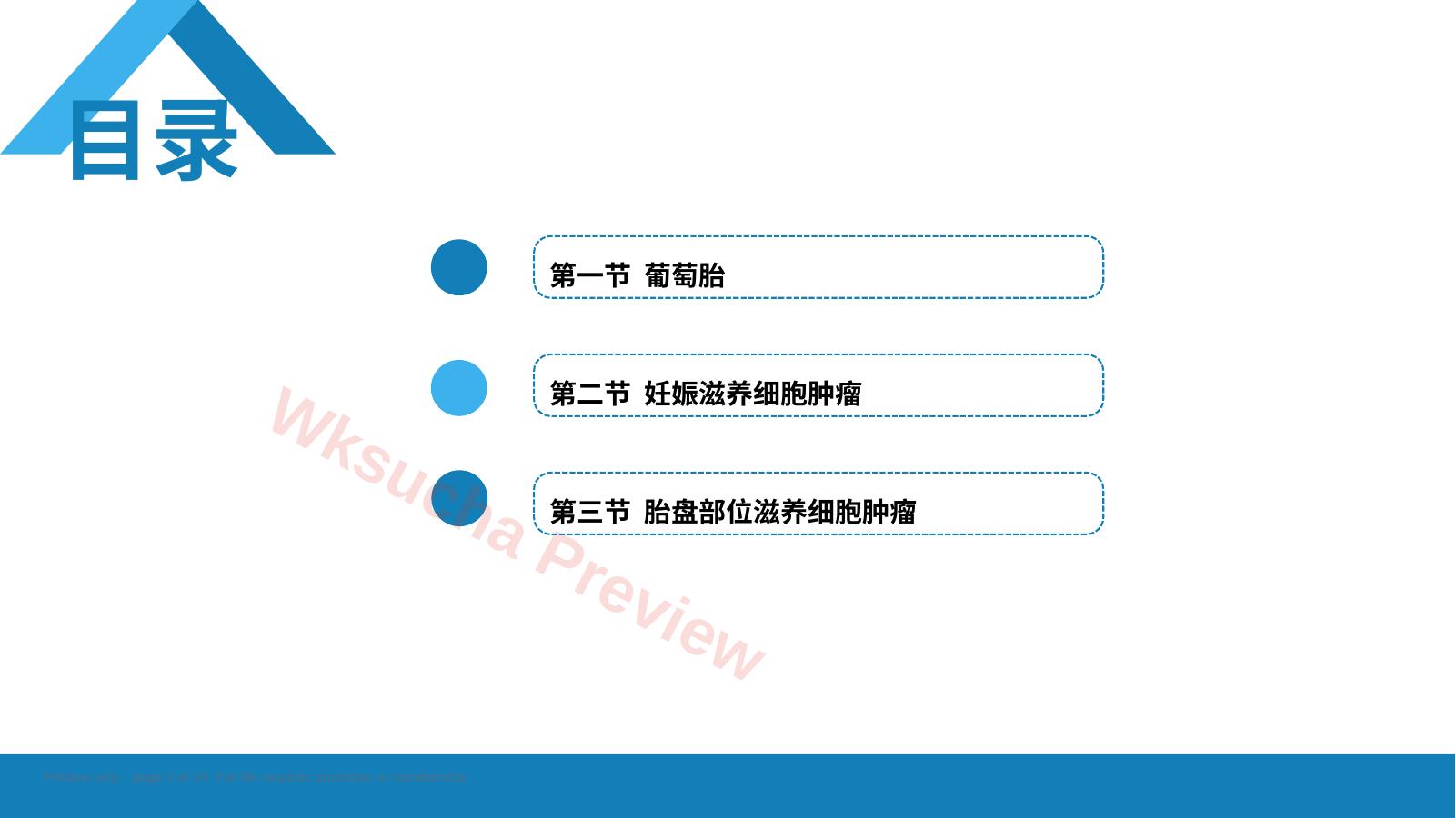 预览第 2 页