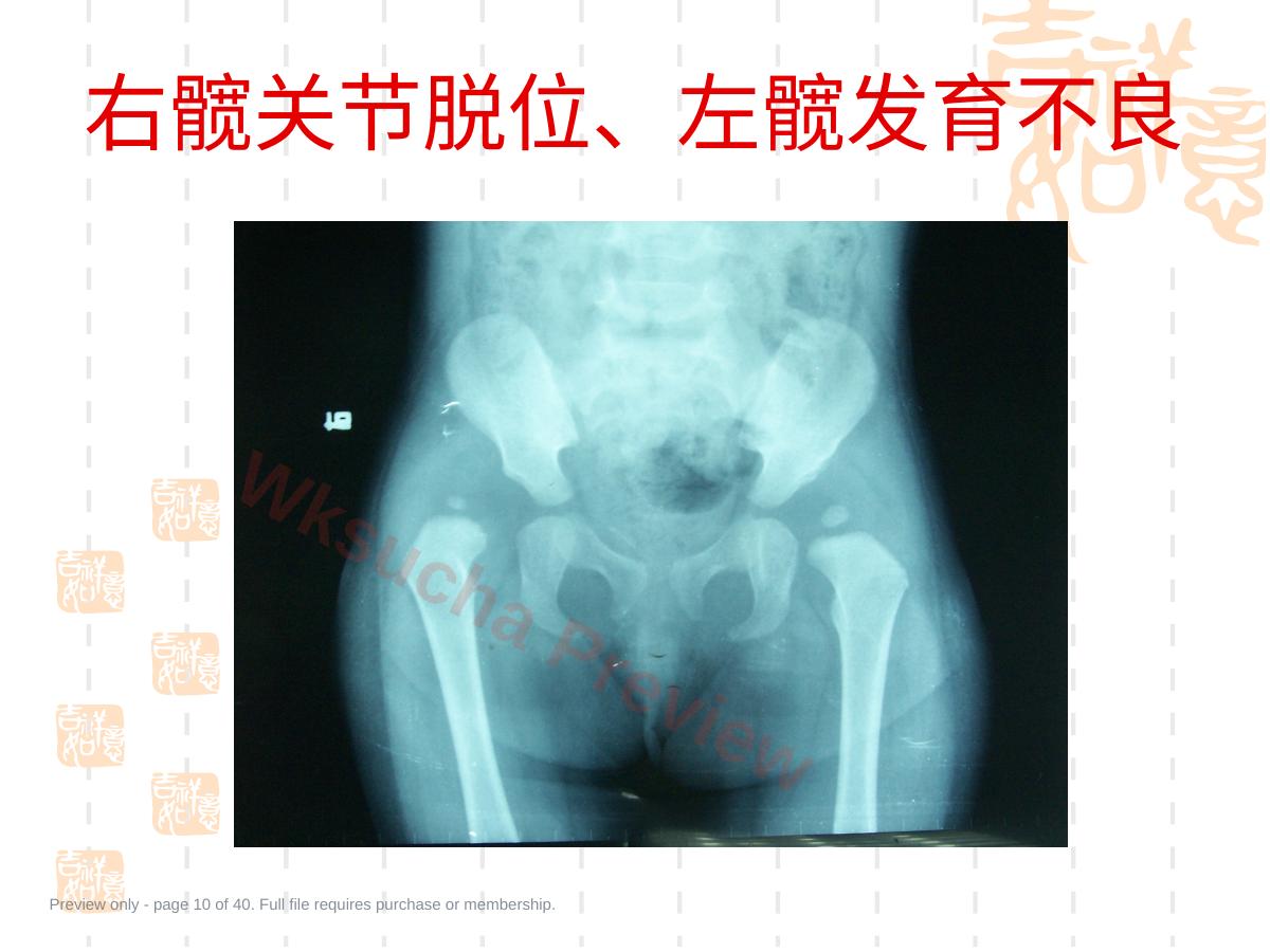 预览第 10 页