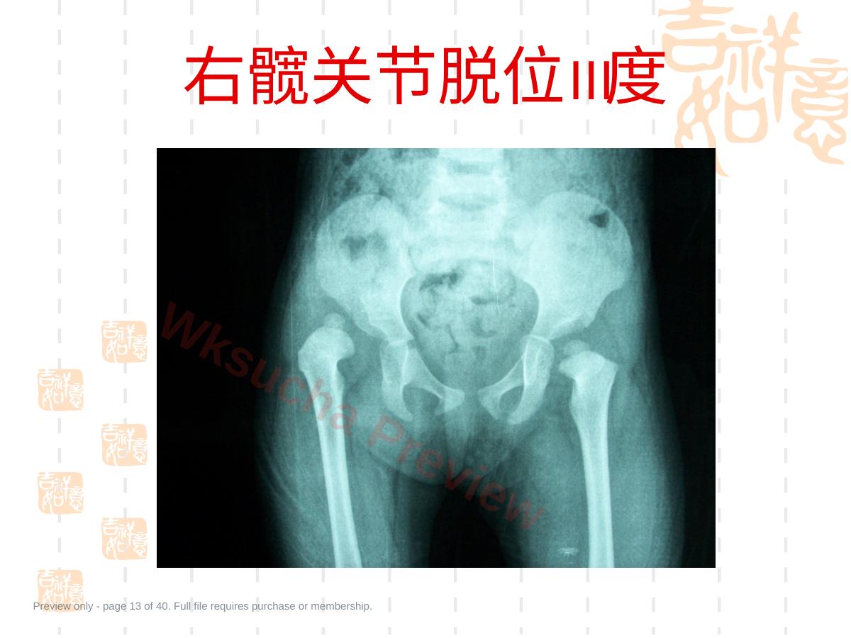 预览第 13 页