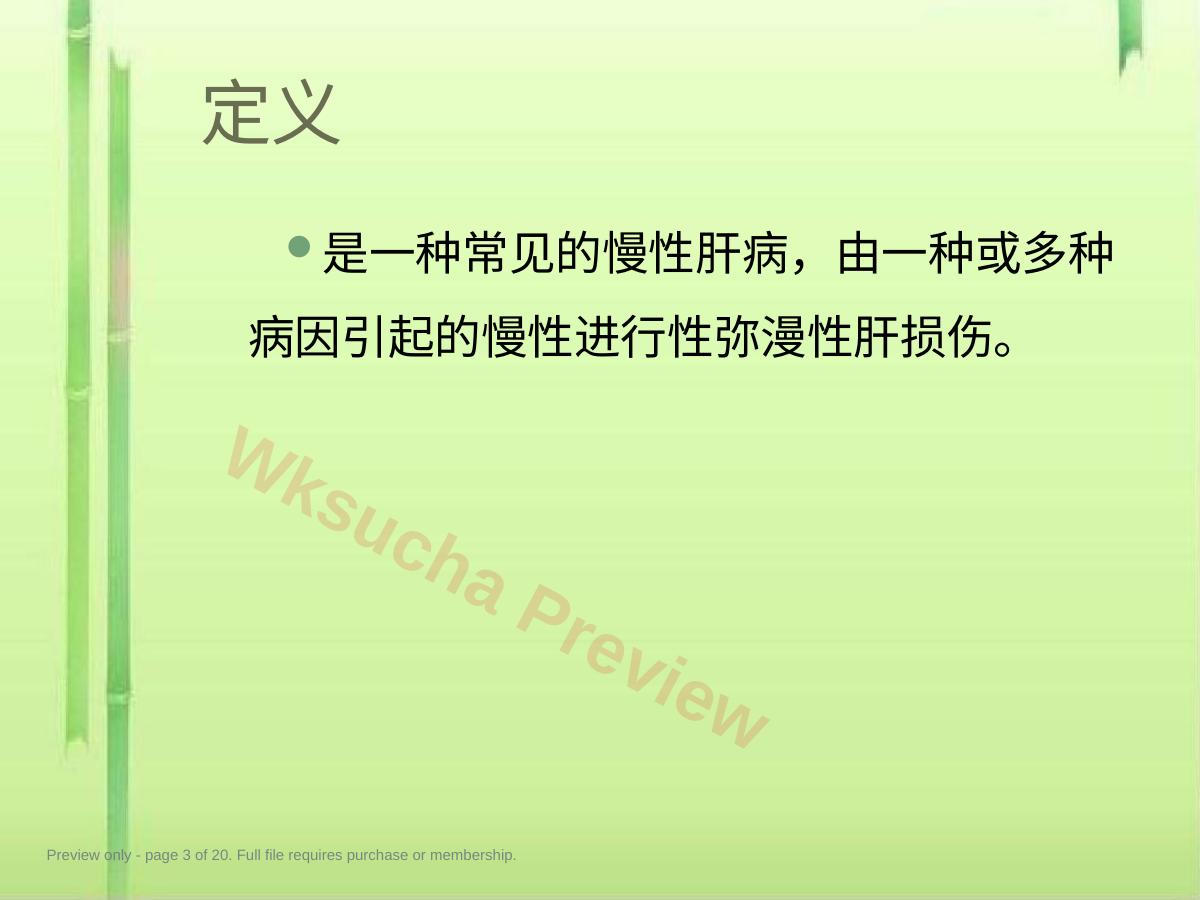 预览第 3 页