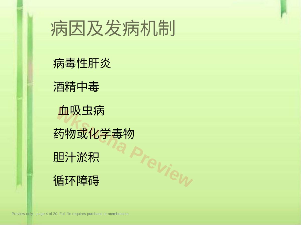 预览第 4 页