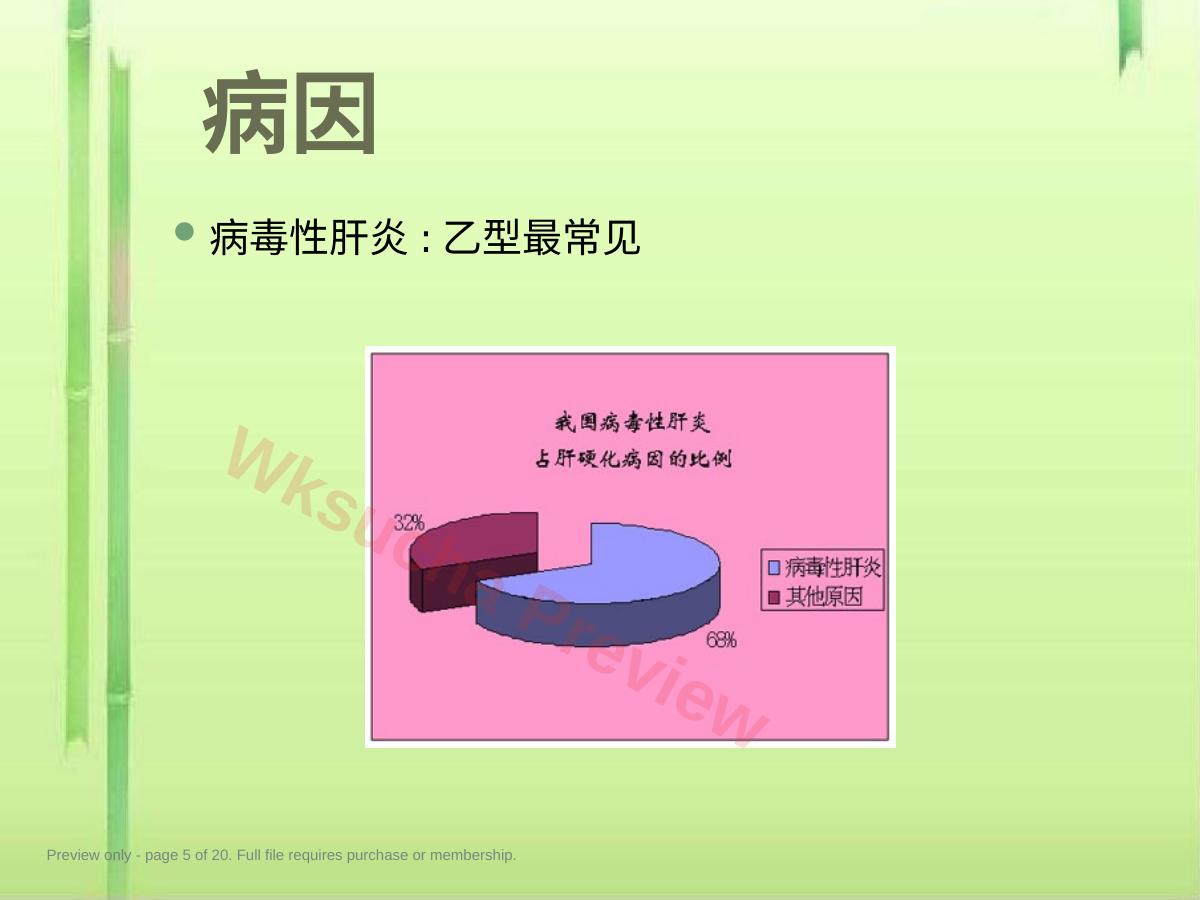 预览第 5 页