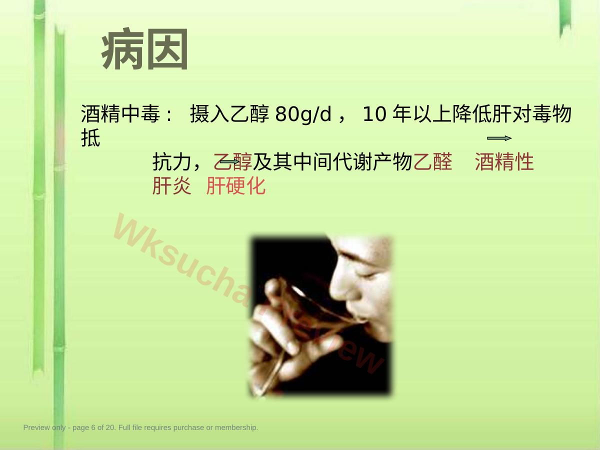 预览第 6 页