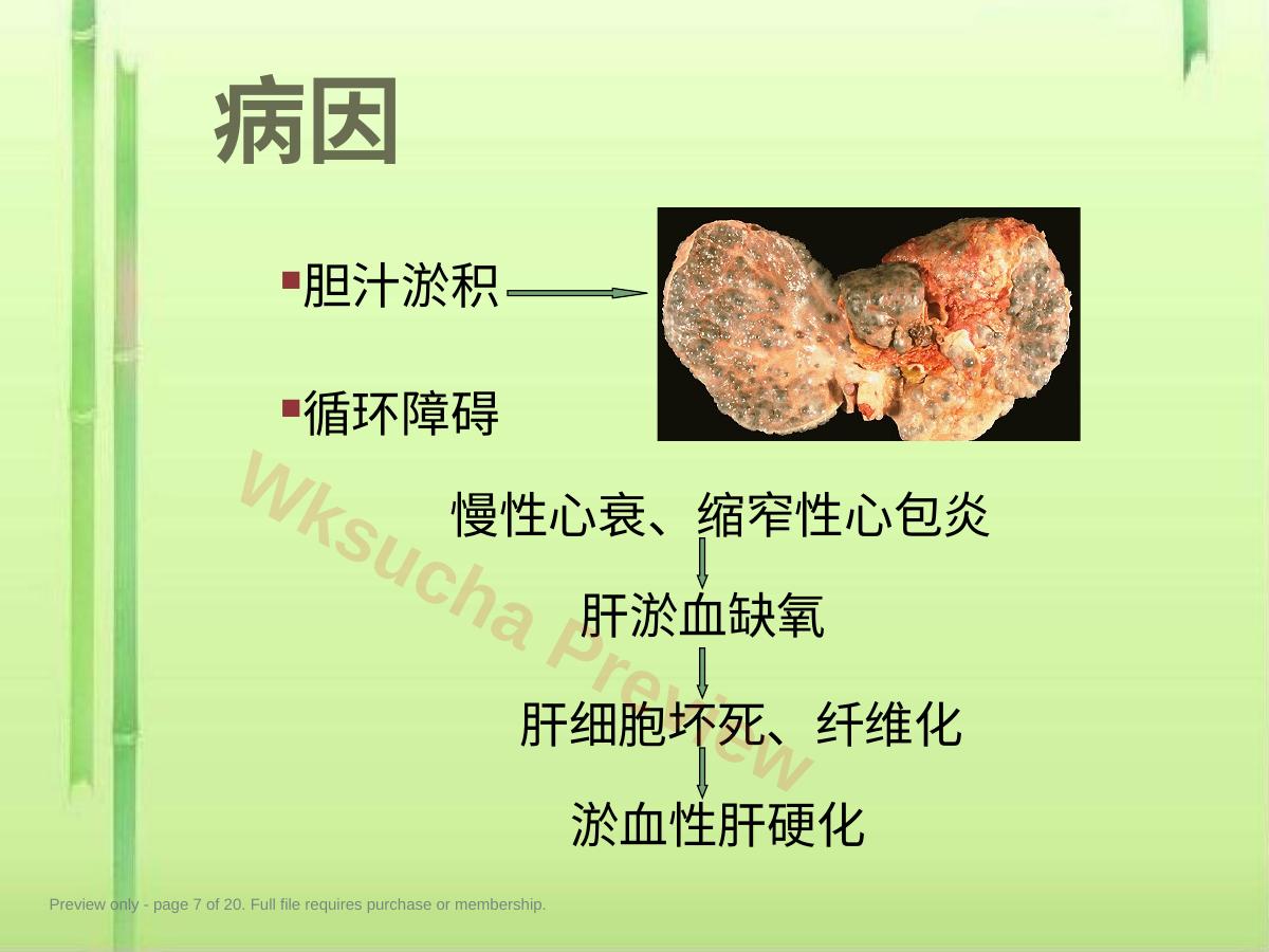 预览第 7 页