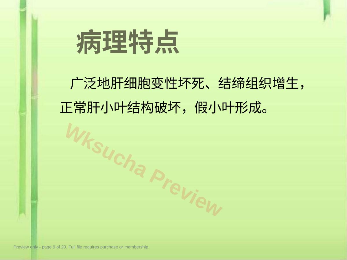 预览第 9 页