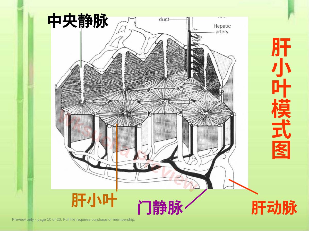 预览第 10 页
