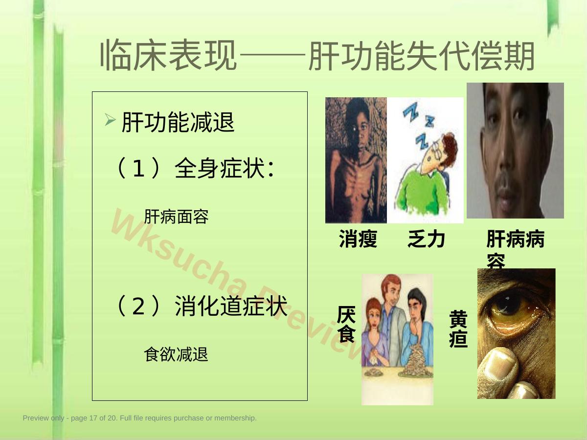 预览第 17 页