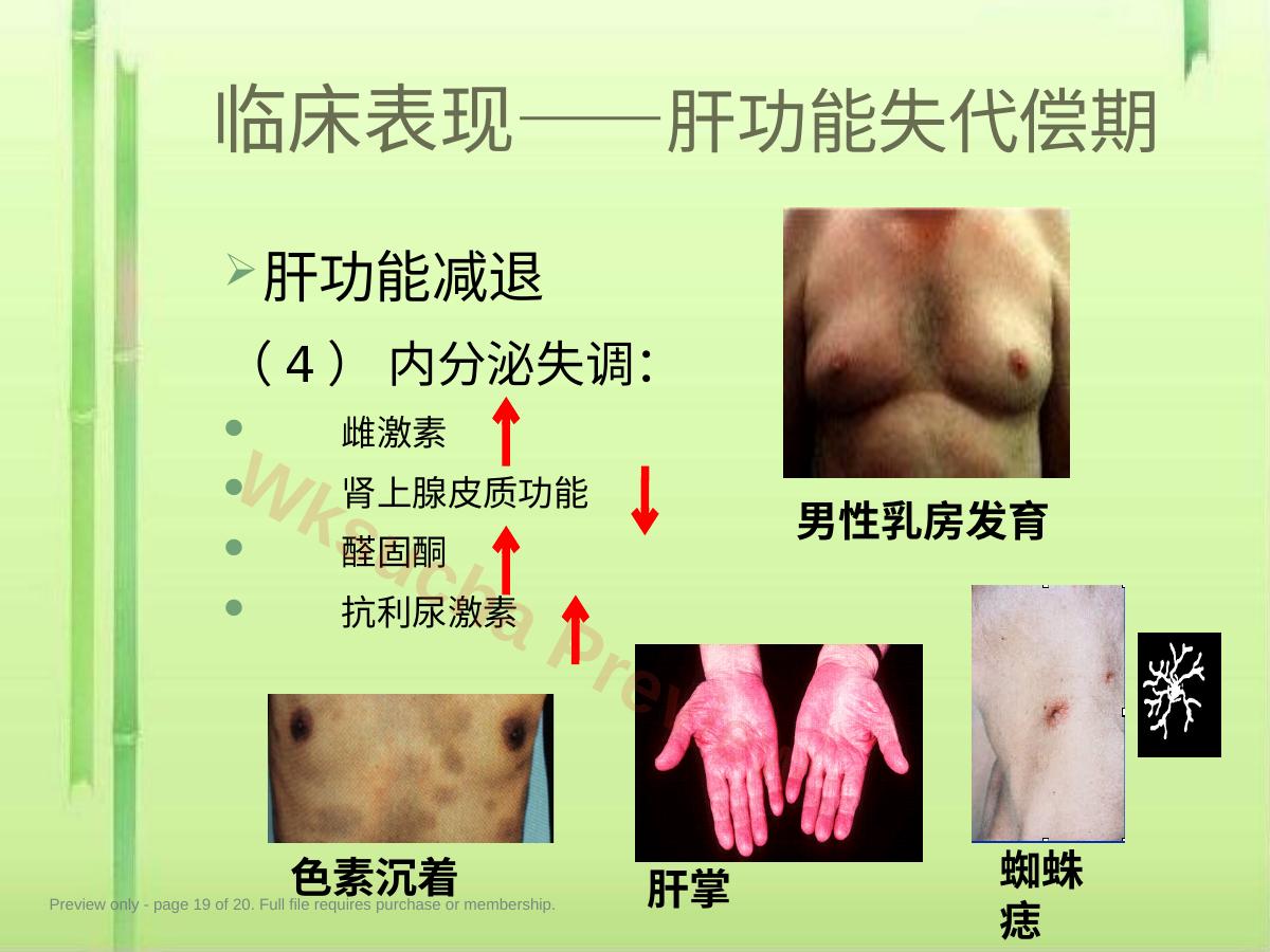 预览第 19 页