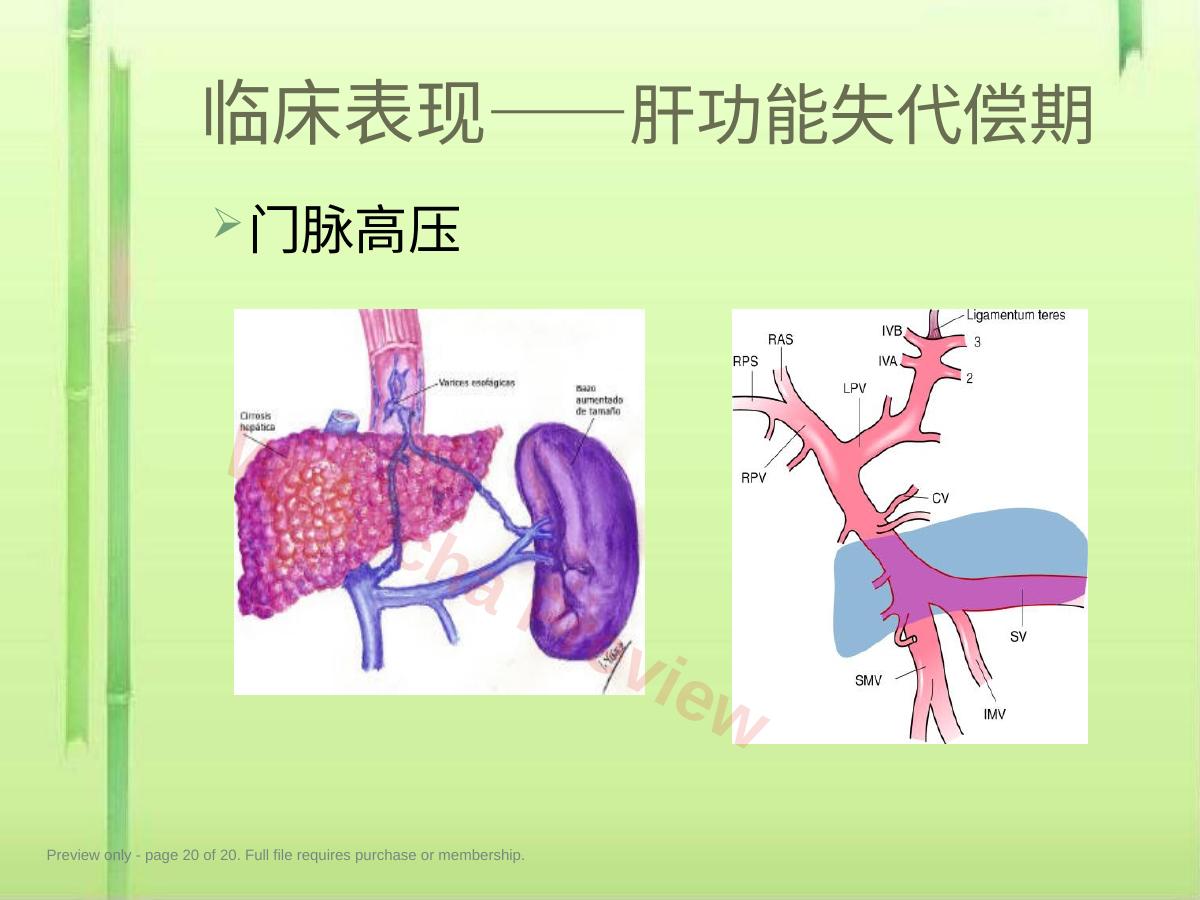 预览第 20 页