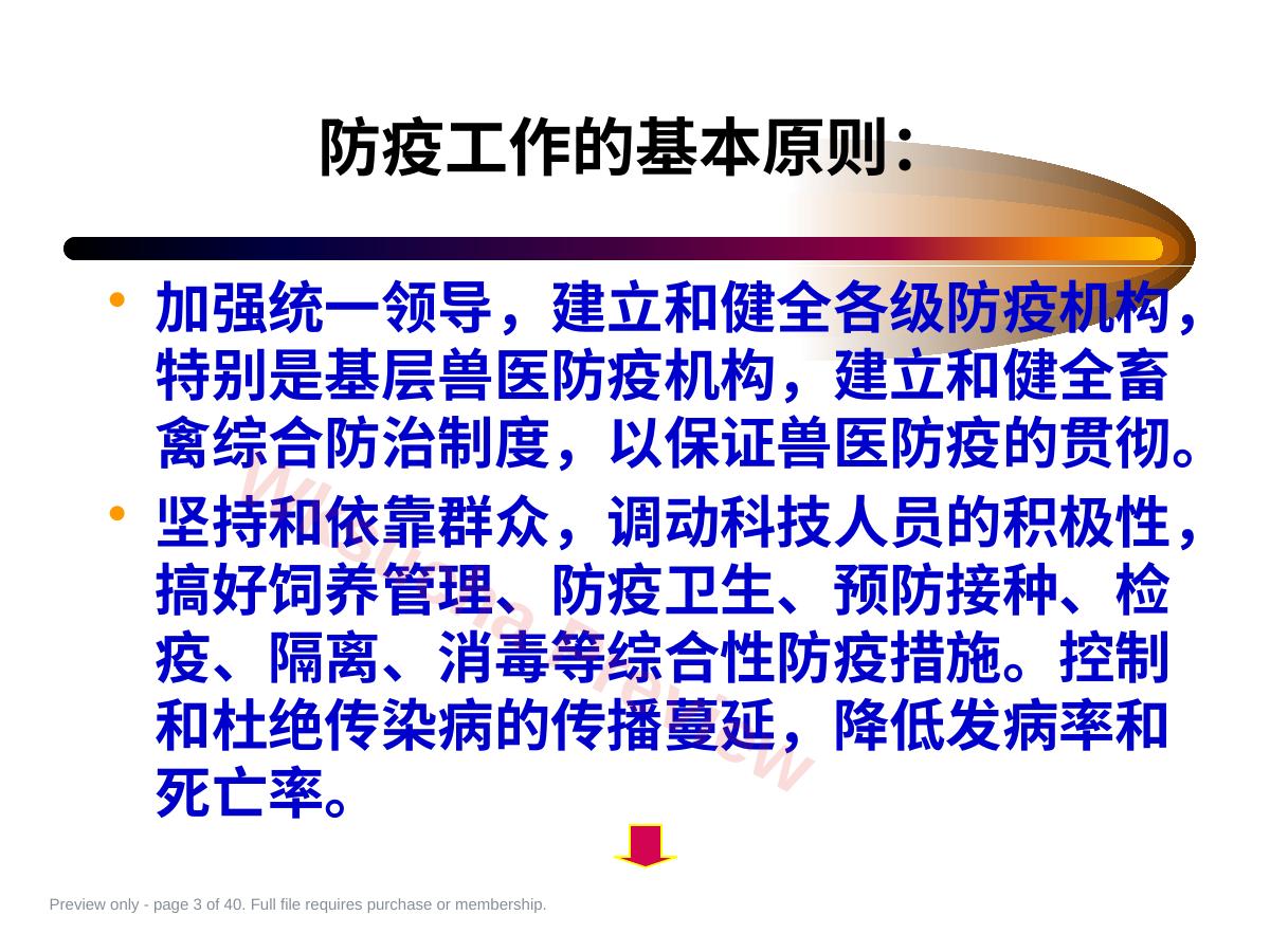预览第 3 页