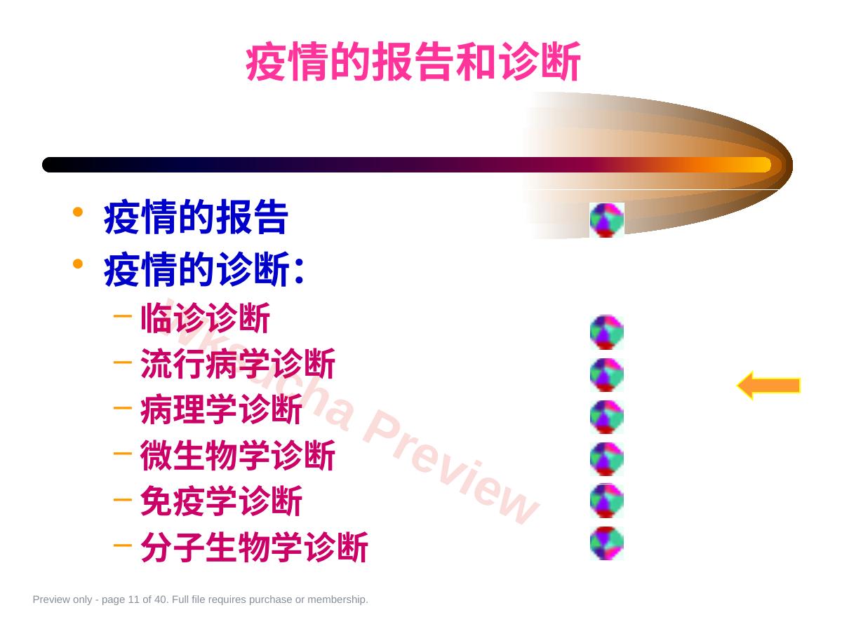 预览第 11 页
