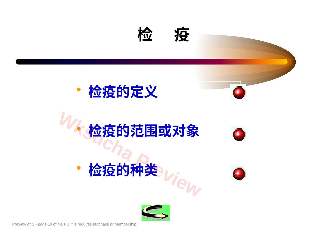 预览第 19 页