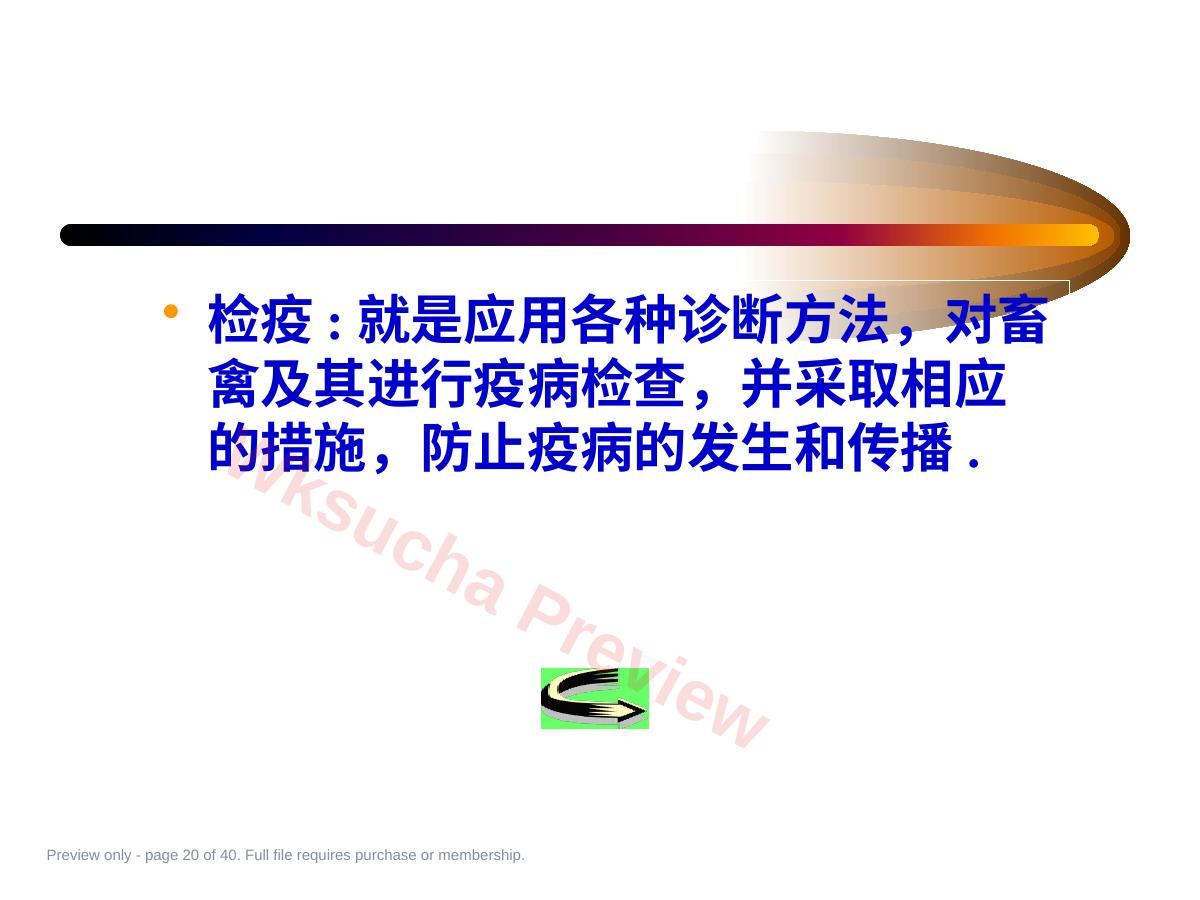 预览第 20 页