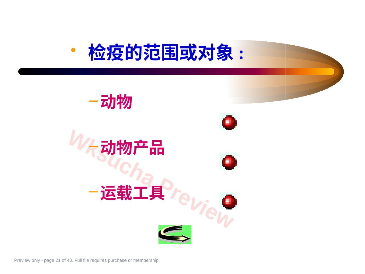 预览第 21 页