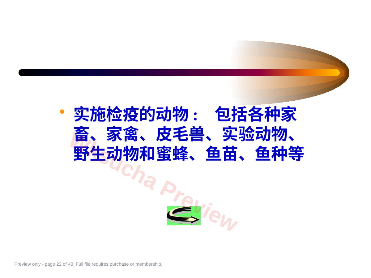 预览第 22 页