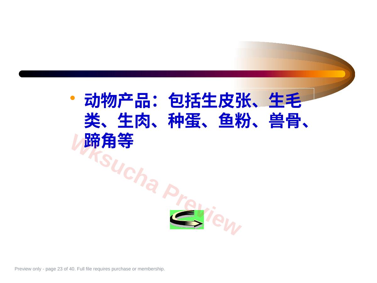 预览第 23 页