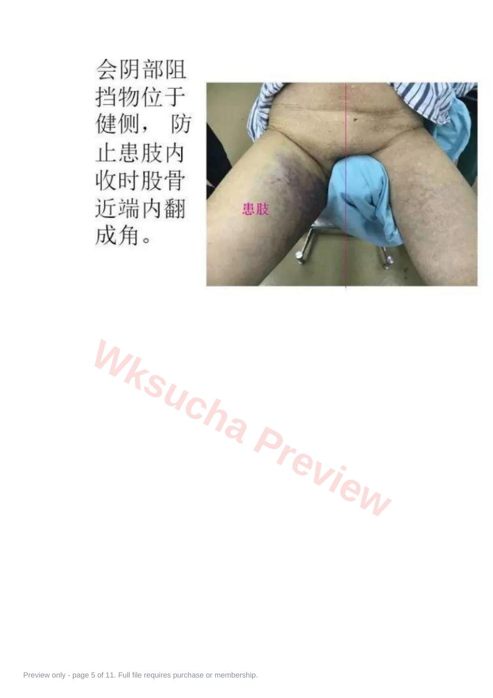 预览第 5 页