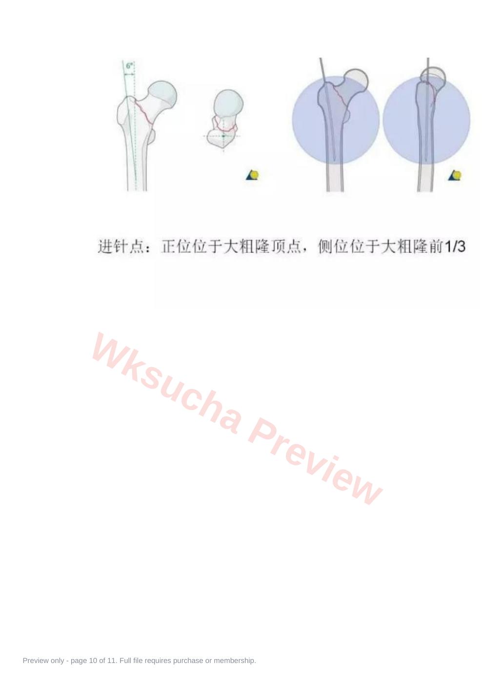 预览第 10 页