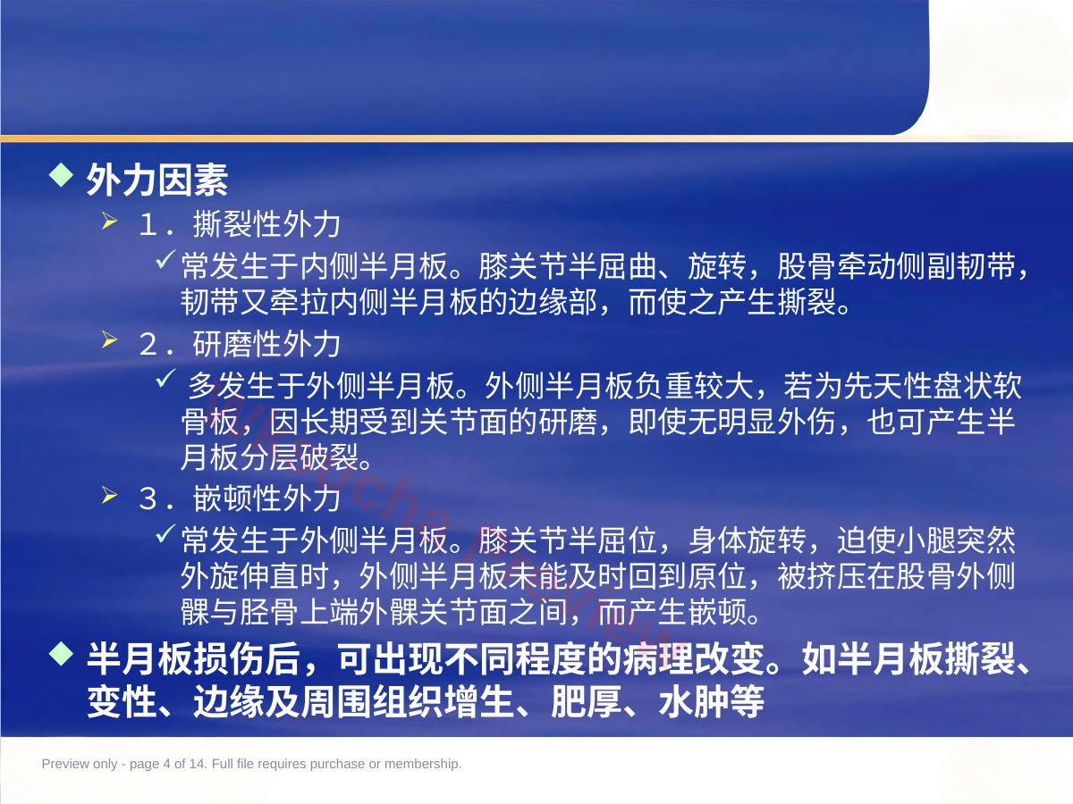 预览第 4 页