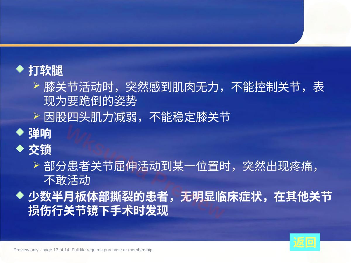 预览第 13 页