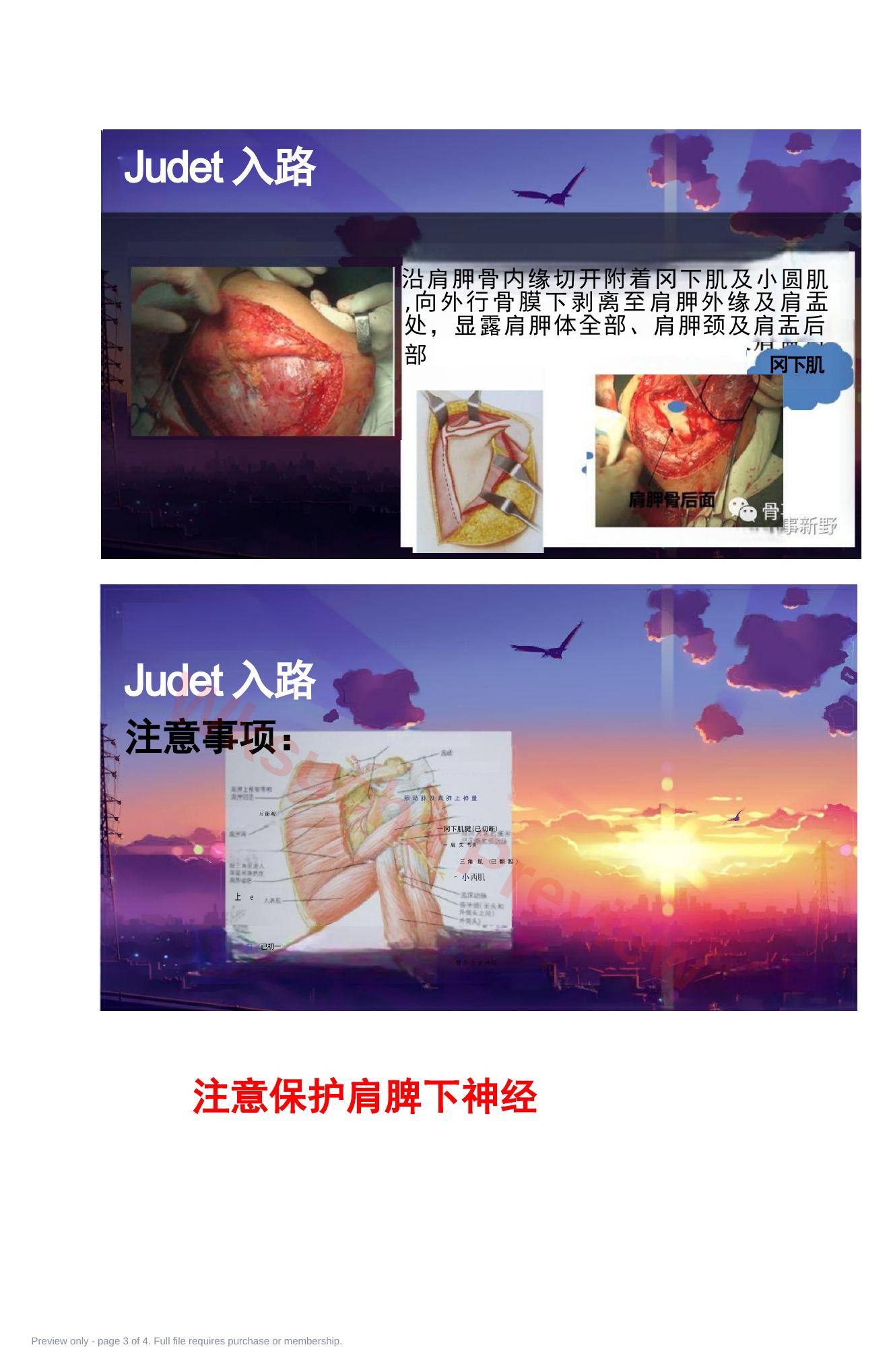 预览第 3 页