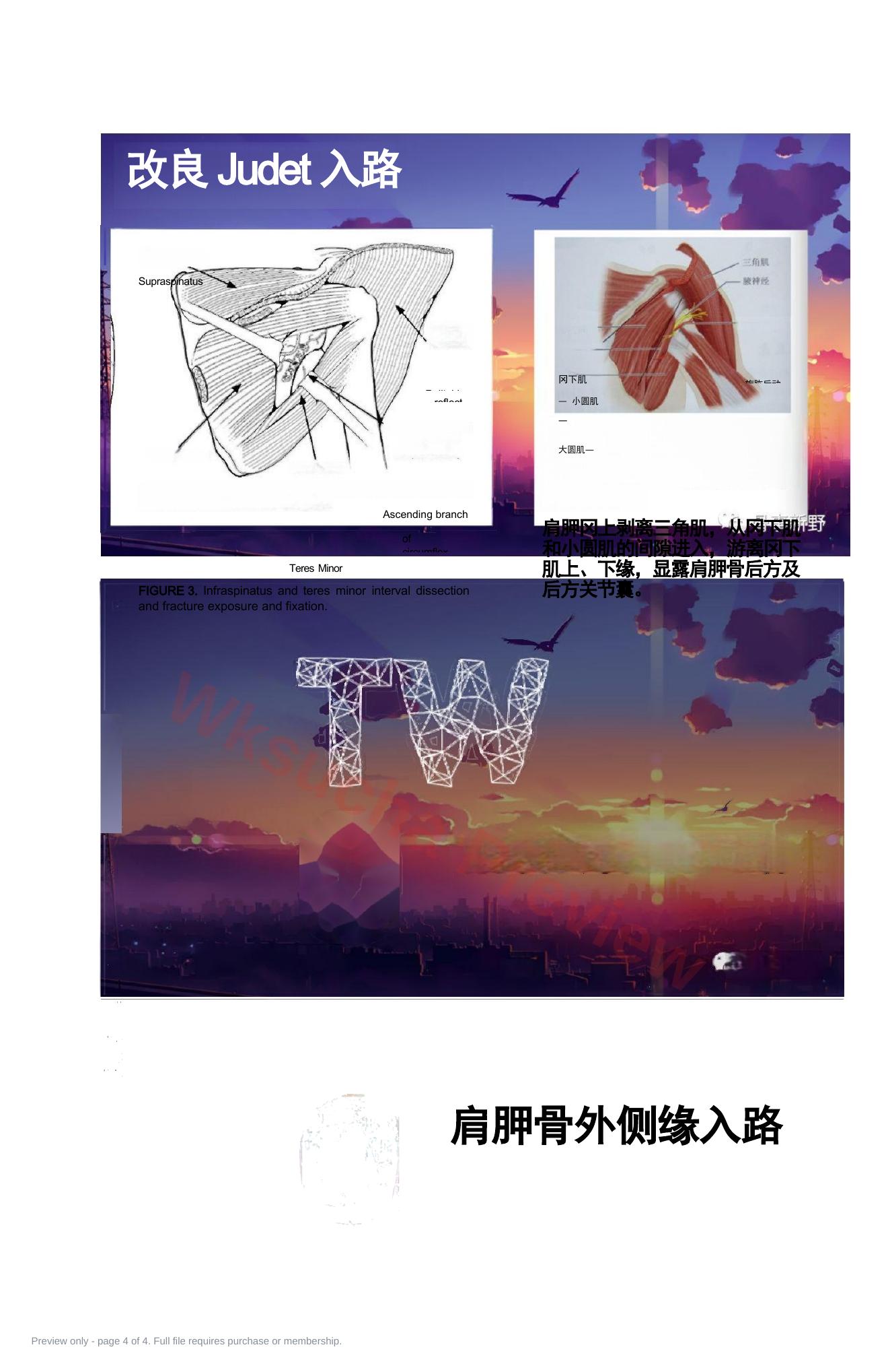 预览第 4 页