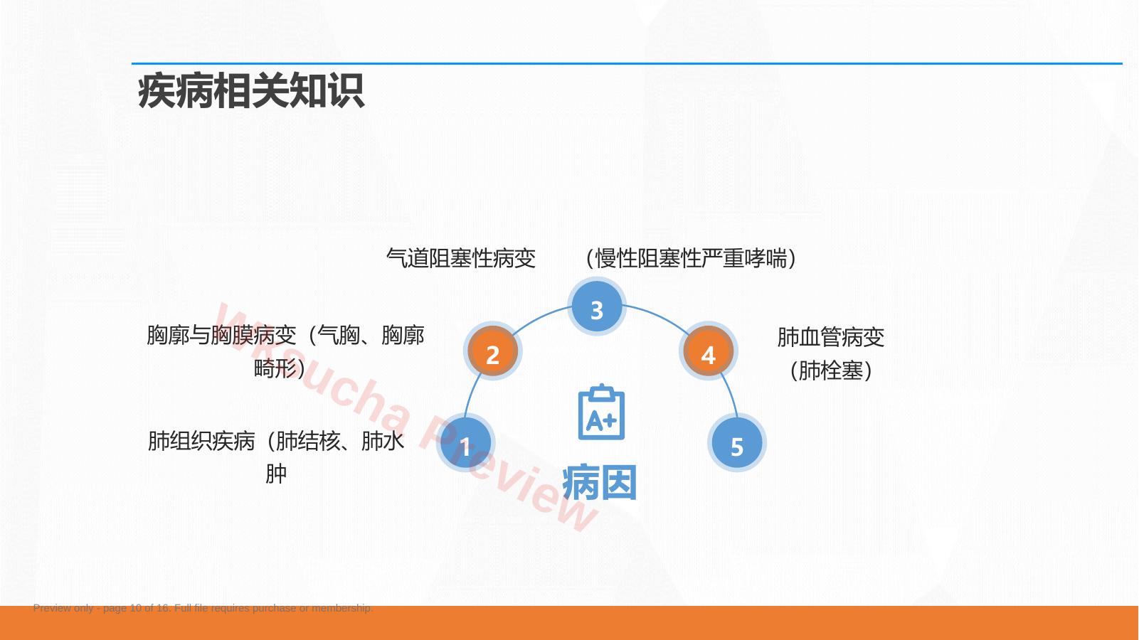 预览第 10 页