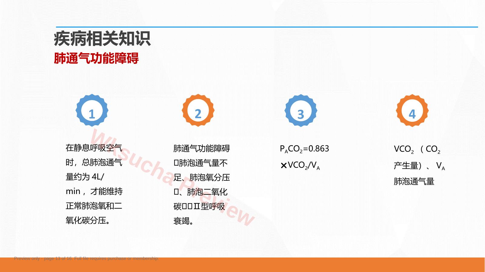预览第 13 页