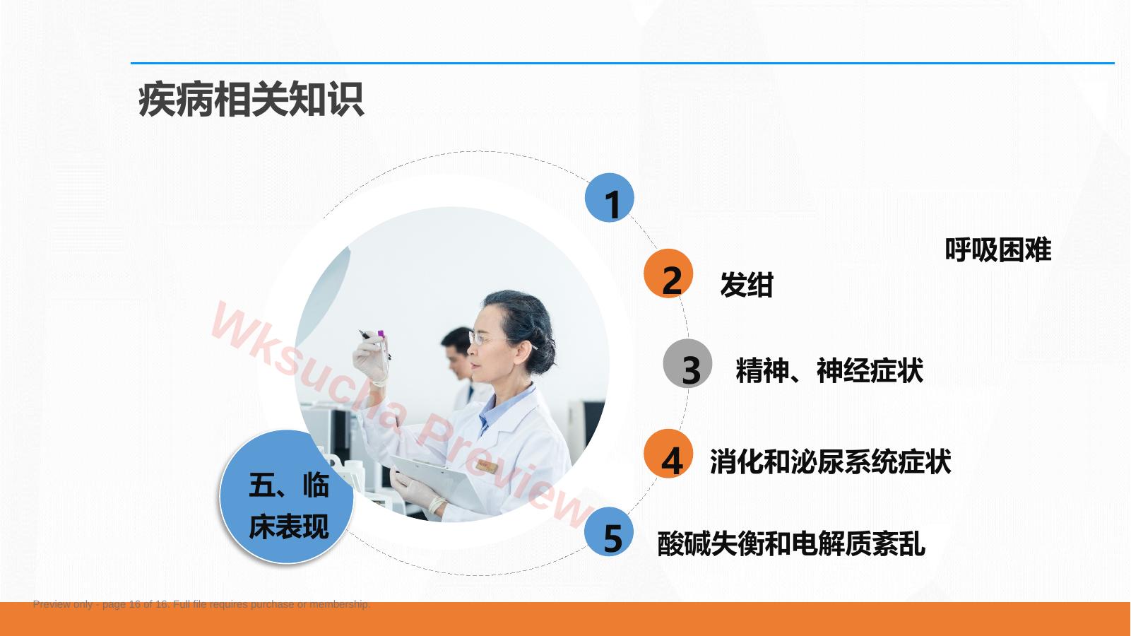 预览第 16 页