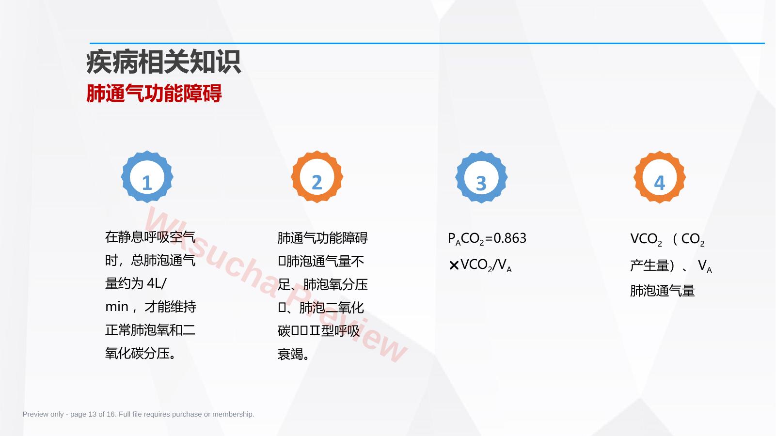 预览第 13 页