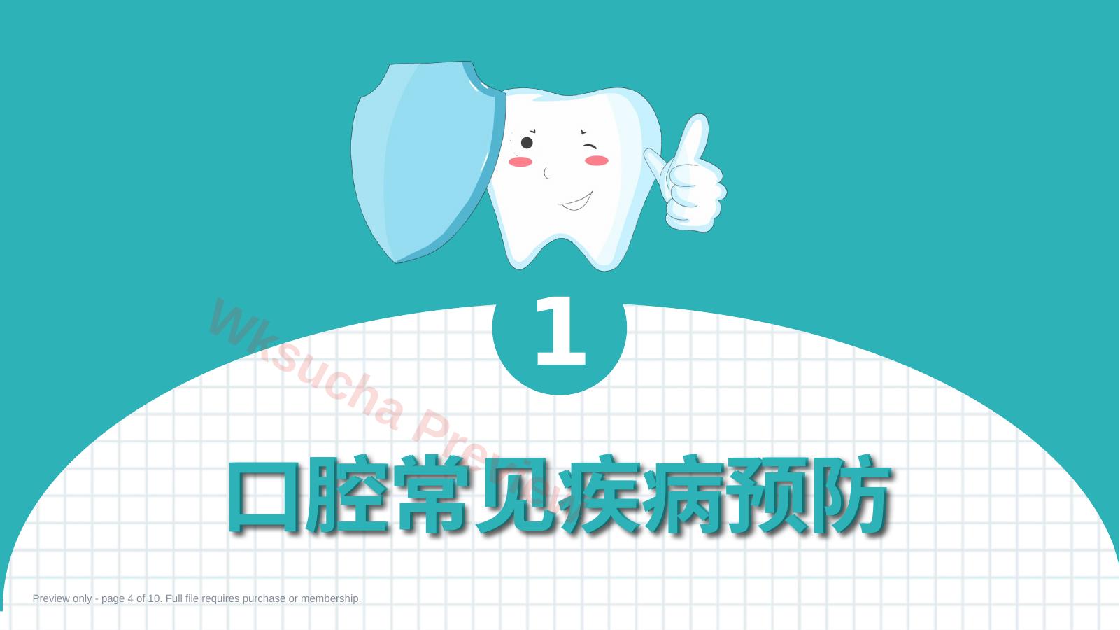 预览第 4 页