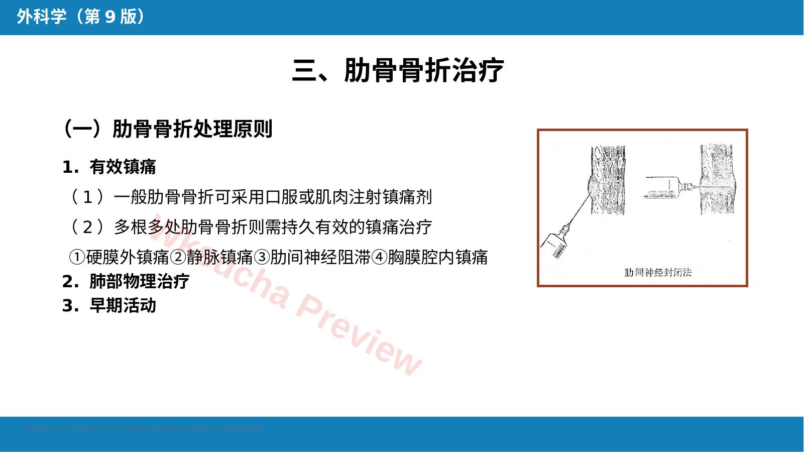 预览第 13 页