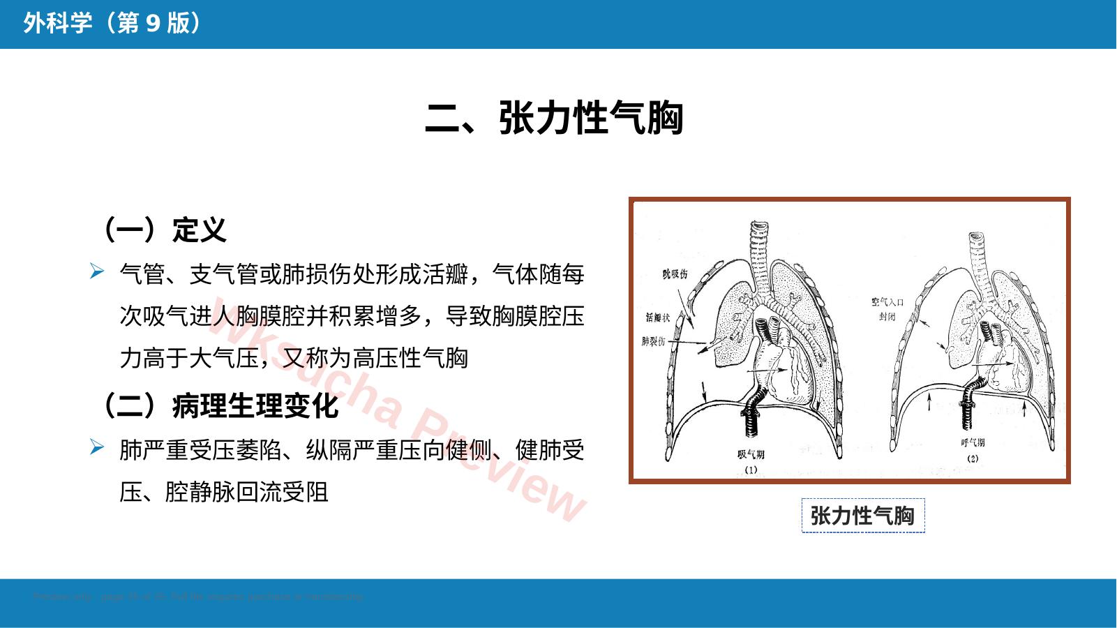 预览第 25 页