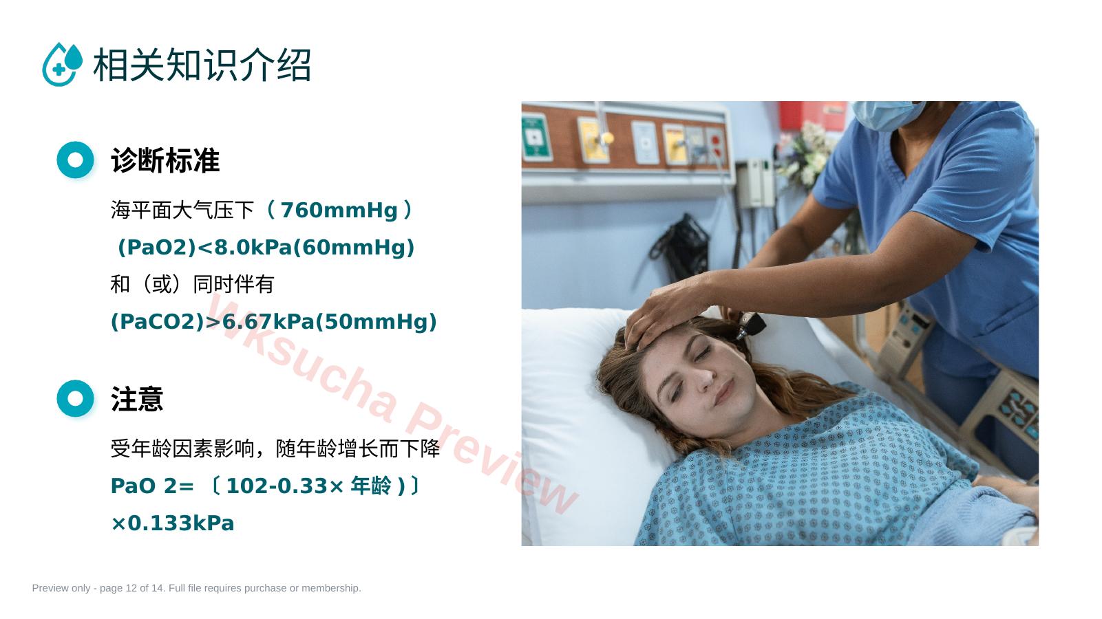 预览第 12 页