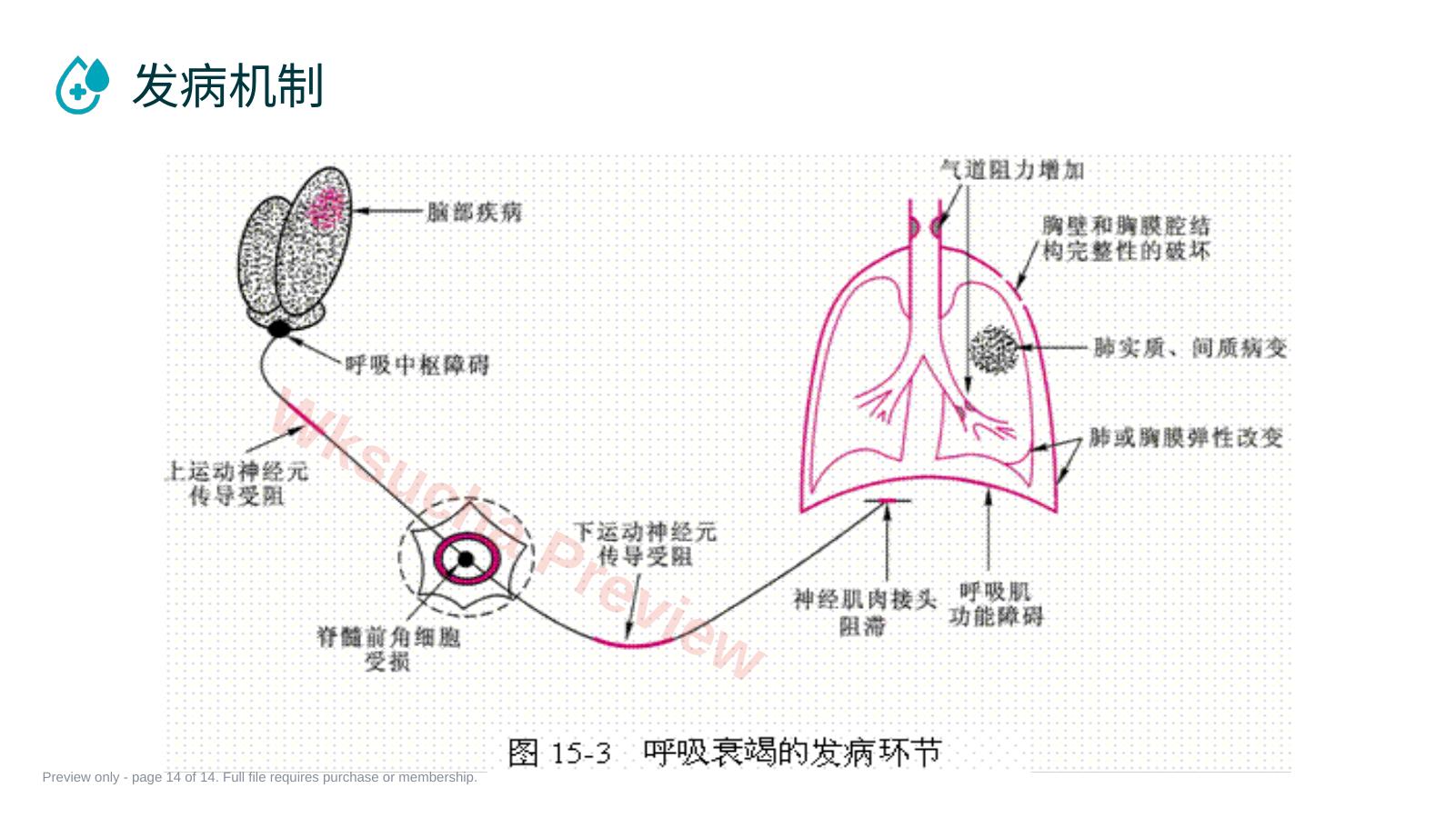 预览第 14 页