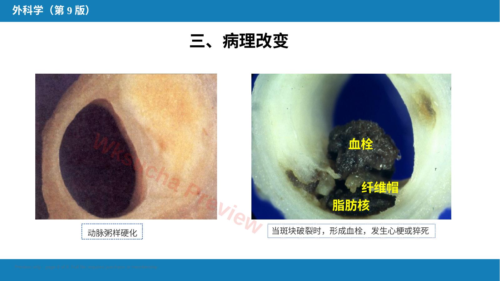 预览第 8 页