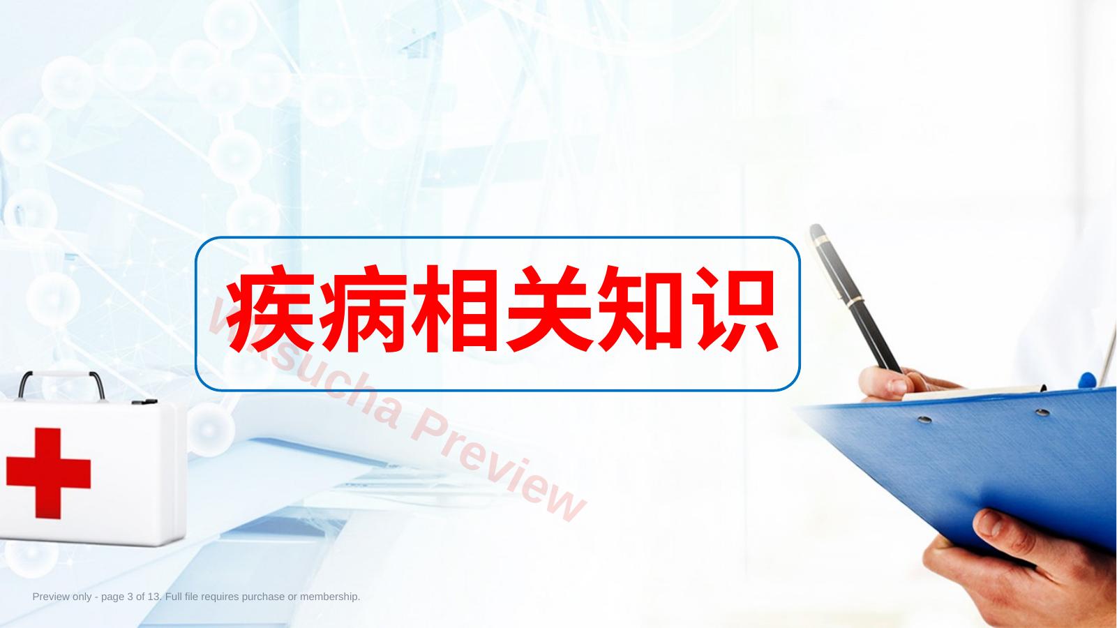 预览第 3 页