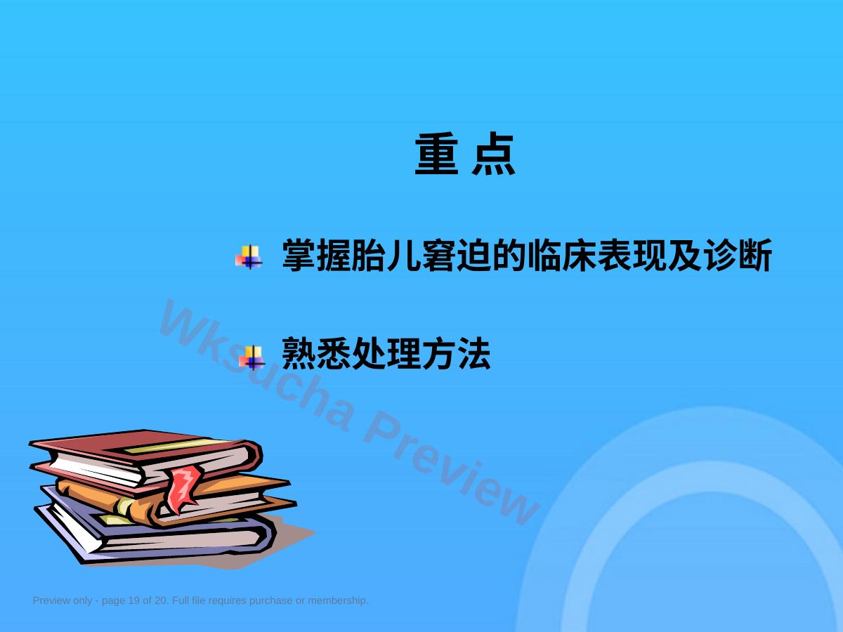 预览第 19 页