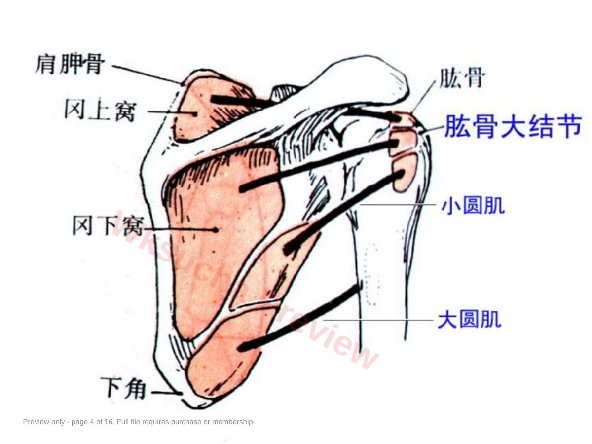 预览第 4 页