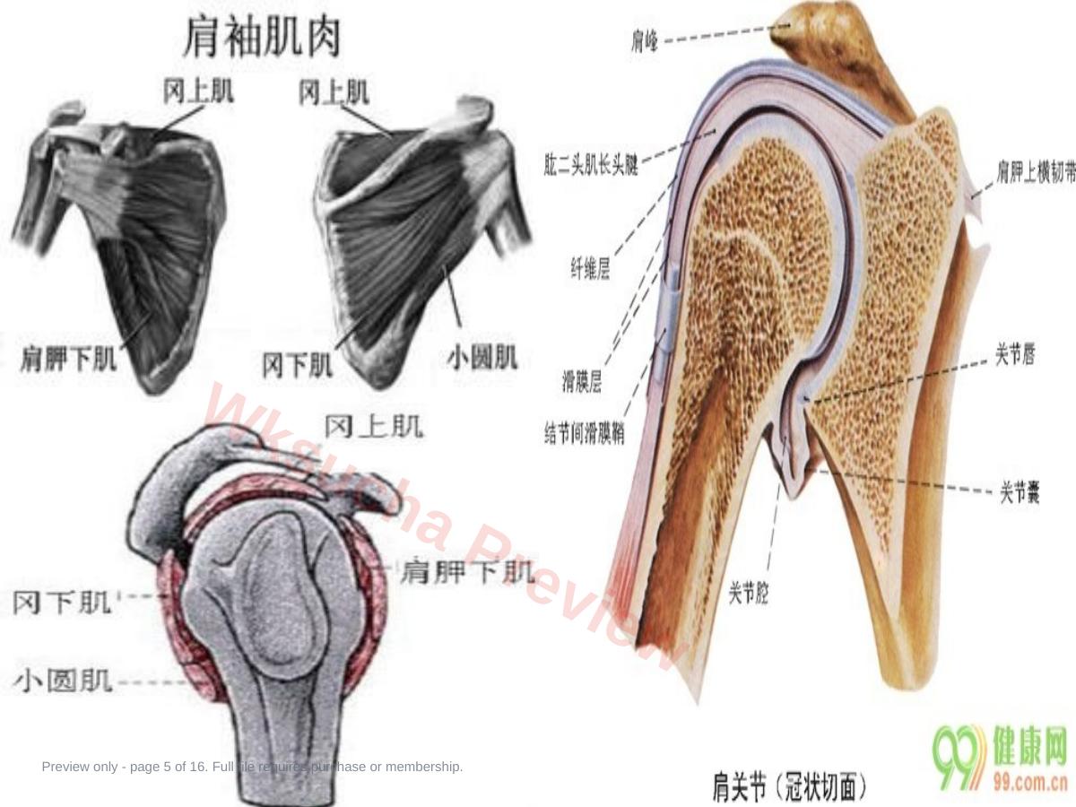 预览第 5 页