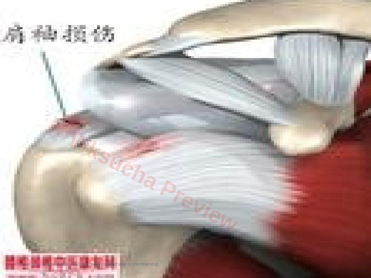 预览第 6 页
