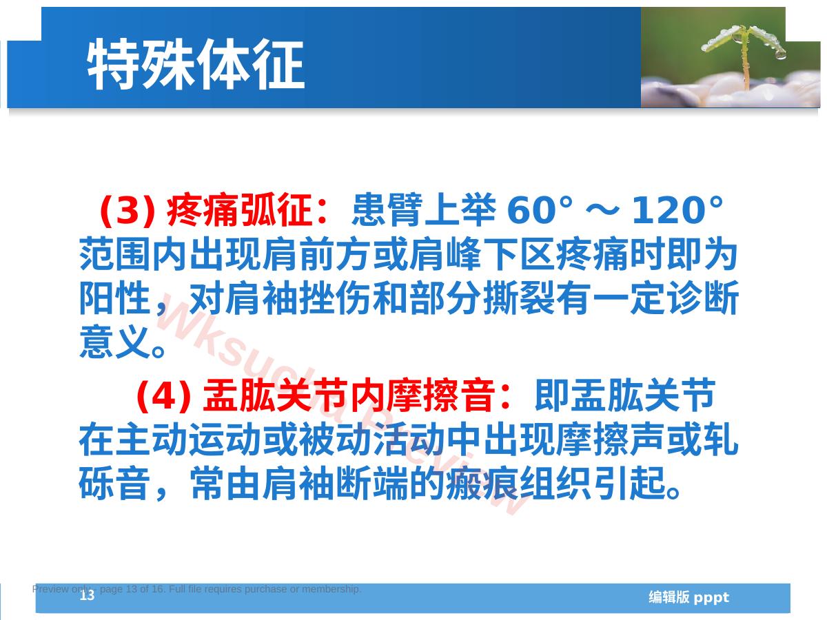 预览第 13 页