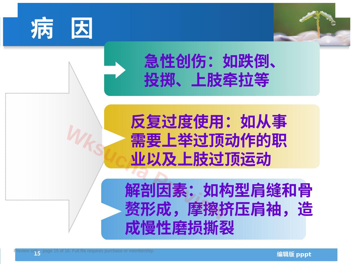 预览第 15 页
