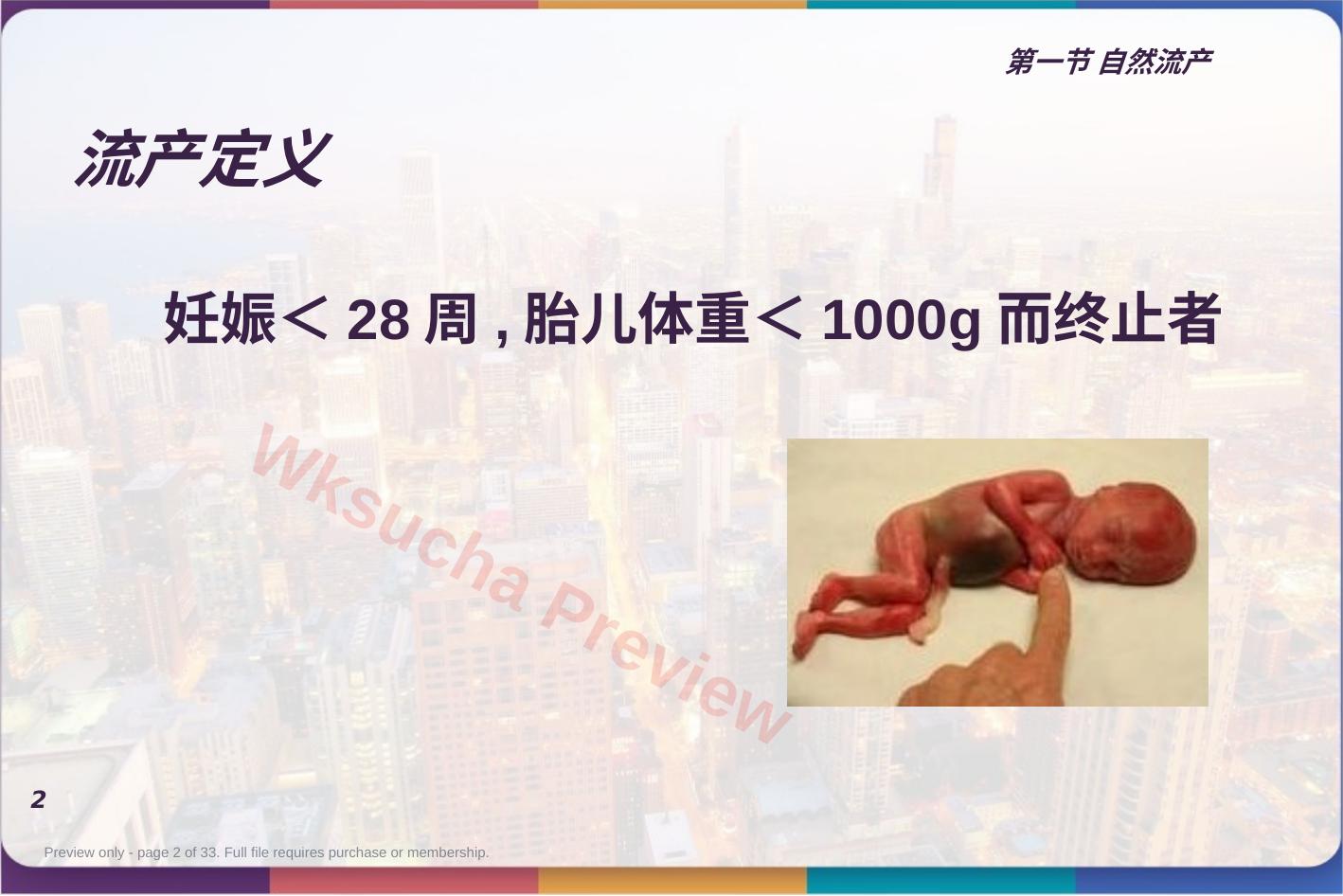 预览第 2 页