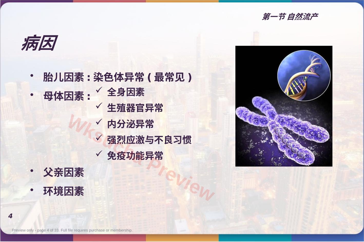 预览第 4 页