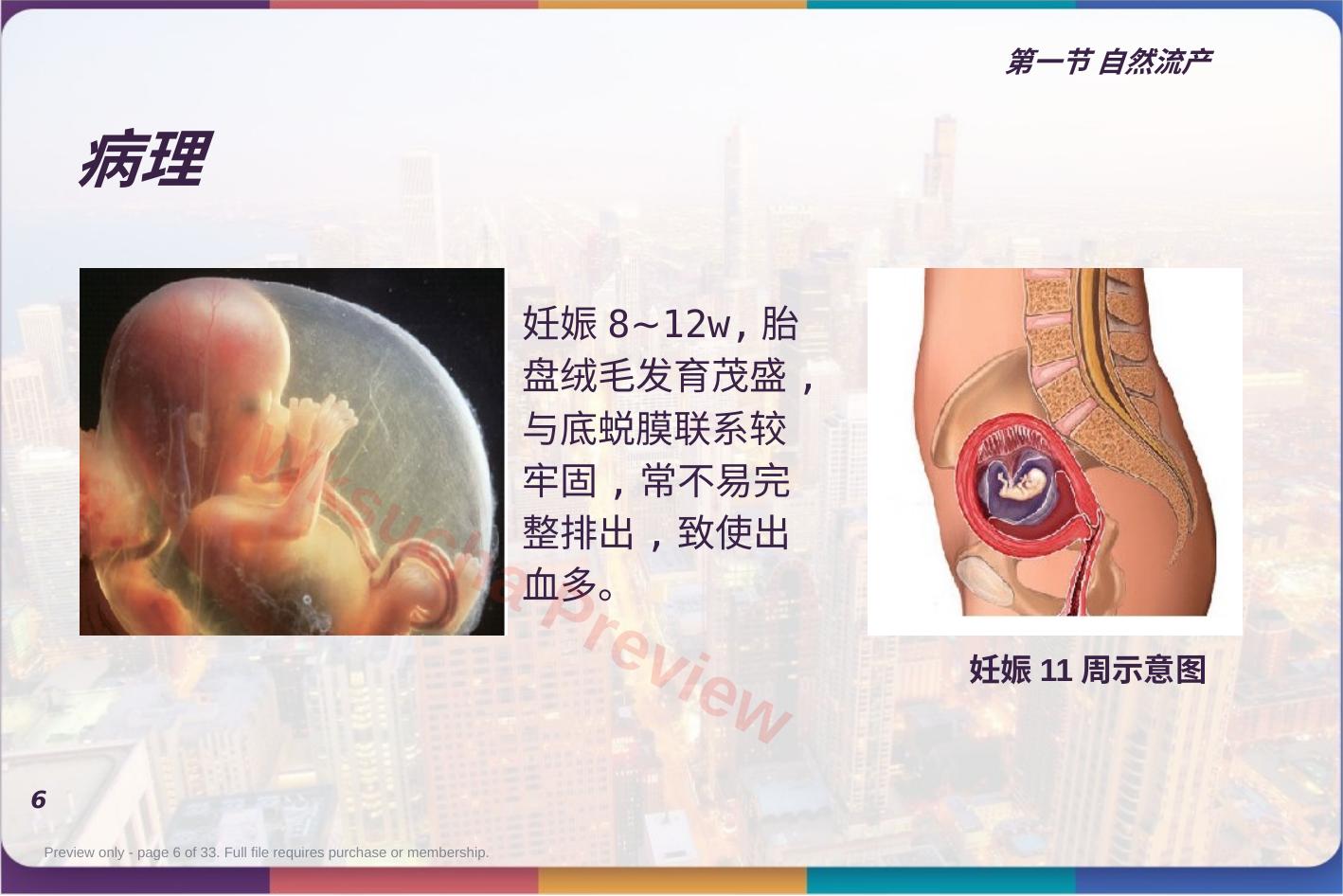 预览第 6 页